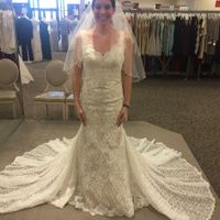 Found the Dress! But wedding isn't until 2018