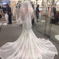 Found the Dress! But wedding isn't until 2018