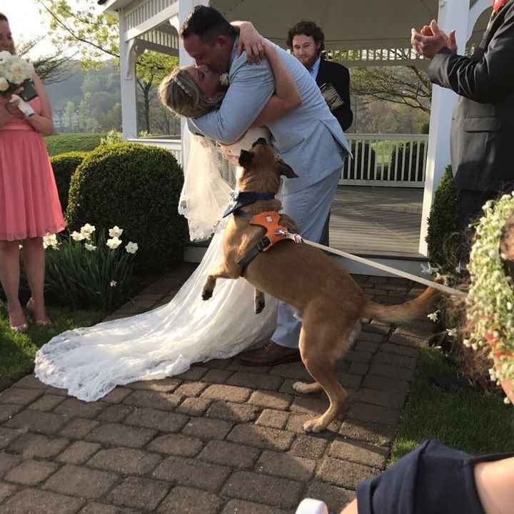 We Did It!!!!