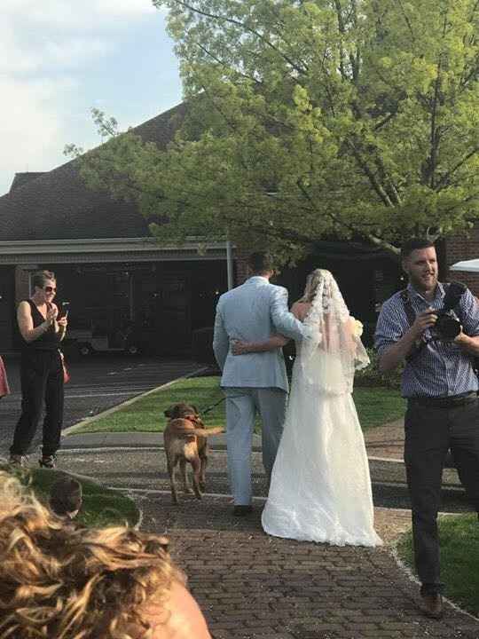 We Did It!!!!