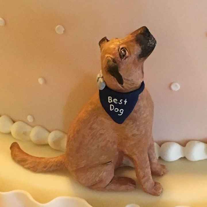 Show me your fur babies!