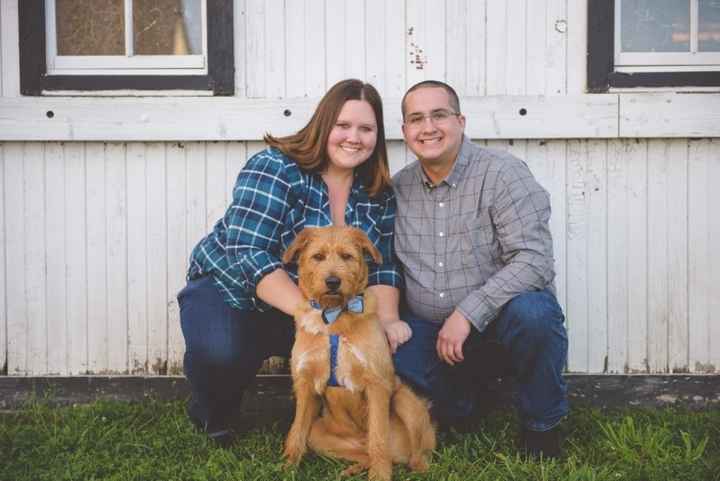 Dogs in engagement/bridal photos