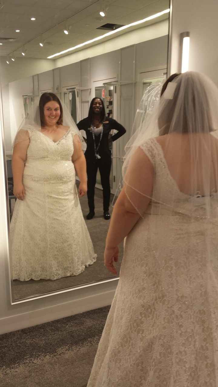 Davids Bridal Dresses!