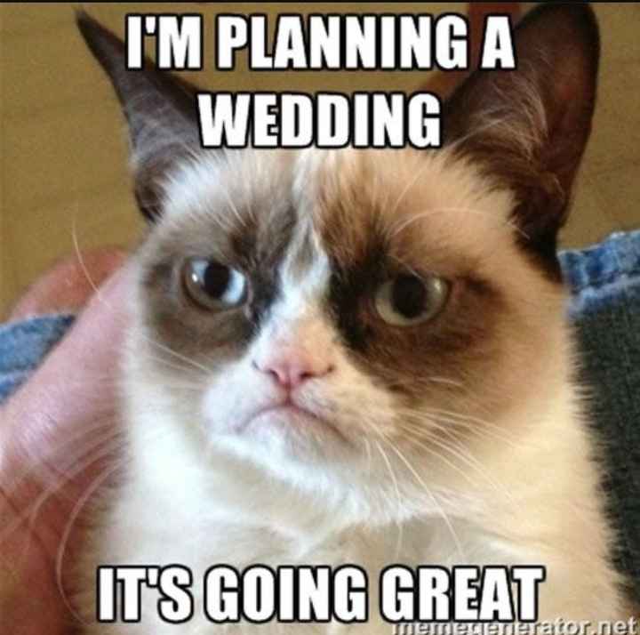 Wedding Memes