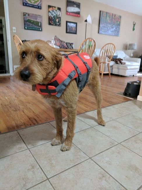 Nwr- show me your fur babies