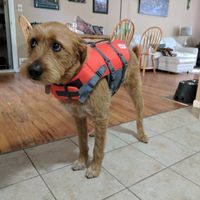 Nwr- show me your fur babies