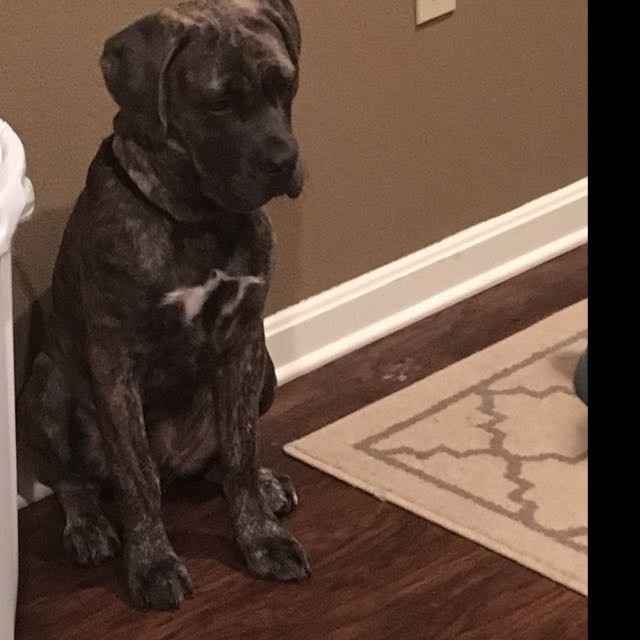 NWR: Show me your fur babies