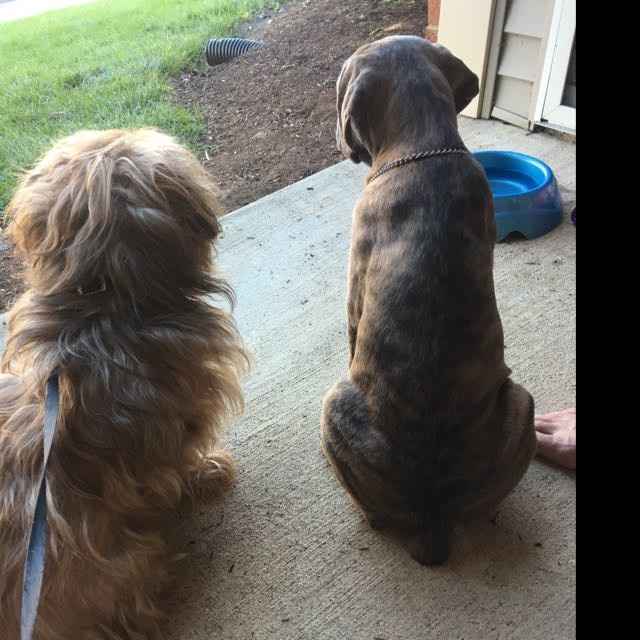 NWR: Show me your fur babies