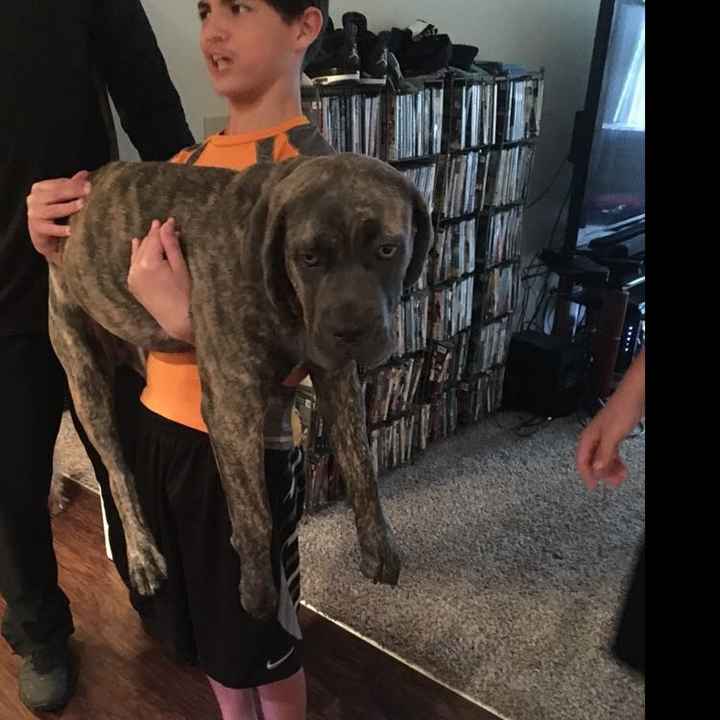 NWR: Shameless pet post!