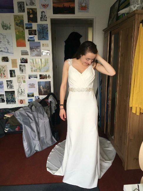My dress arrived! - 1