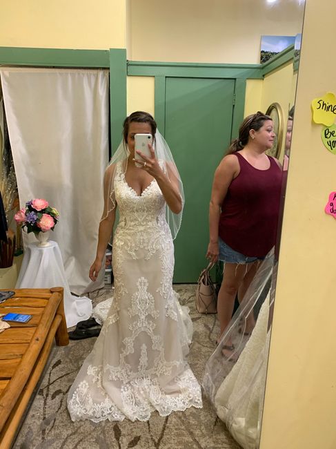 Dress Help! Please post your gowns!! 19
