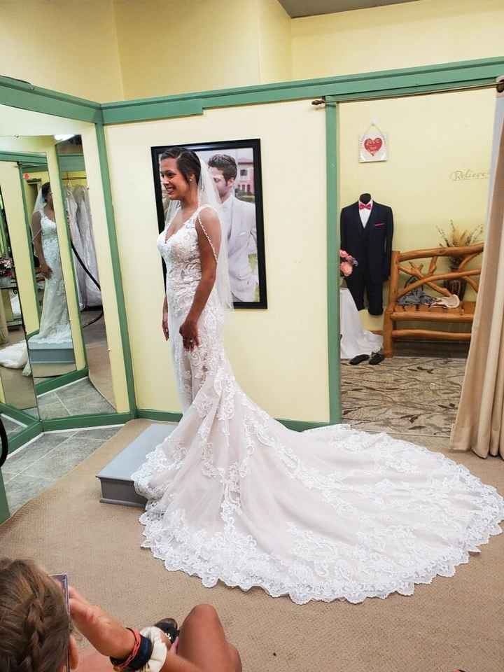 Dress Help! Please post your gowns!! - 2