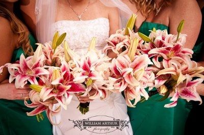 Pictures from our 2/18/12 Wedding - Teasers!