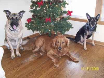 Lets introduce ourselves and lay it on the table