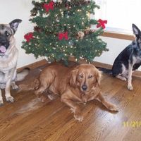 Lets introduce ourselves and lay it on the table