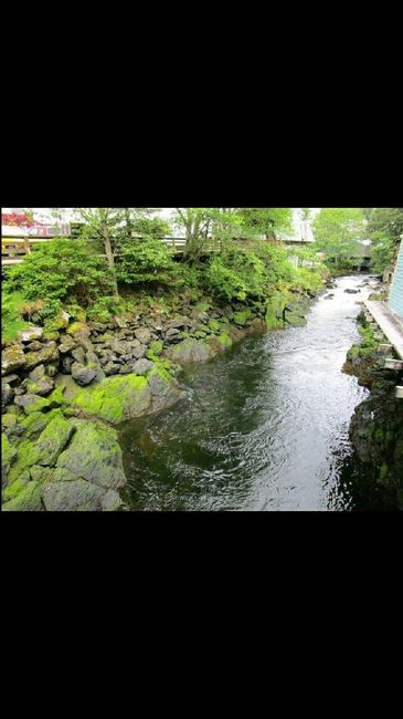 Alaska Cruise - 3