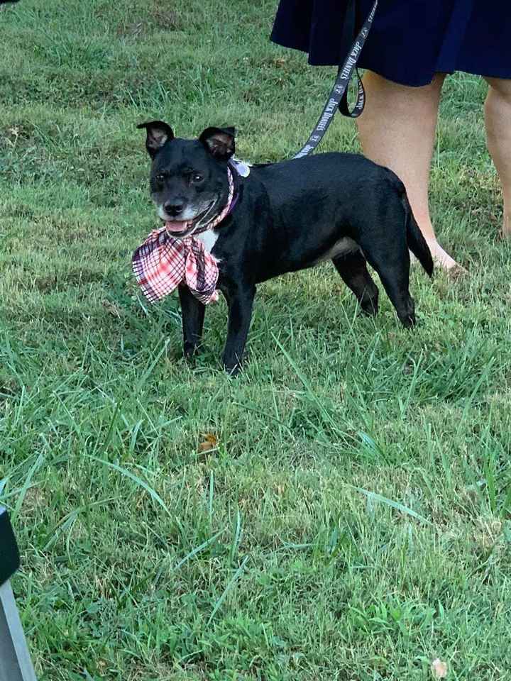 Non Pro Bam! 10.04 wedding✔🥳 pic heavy - 14