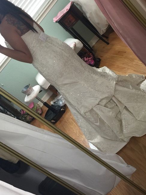 Dress Fitting is done, My dress is ready to go! PICS