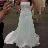 Show me your Davids Bridal dresses:)