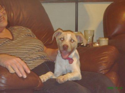 NWR: What kind of dog do you have?