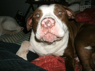 NWR: Lets see our pets!!