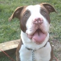 NWR: Lets see our pets!!