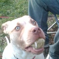 NWR: Lets see our pets!!