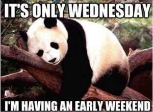 Humpday Inspiration!