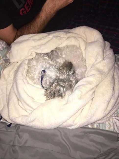 NWR: Fursday Thursday