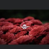 Brides of 2021! Show us your ring! - 1