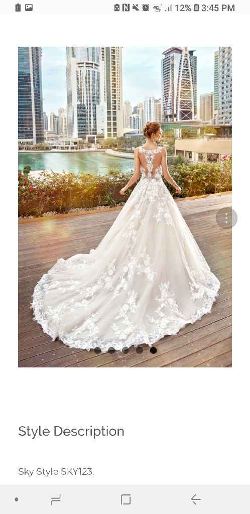 Veil to compliment the dress - 1