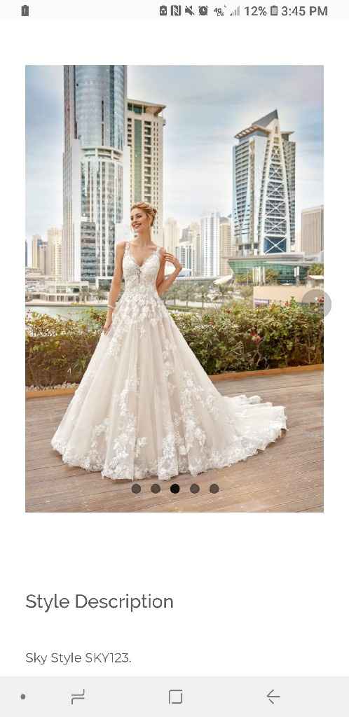 Veil to compliment the dress - 2