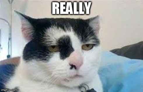 Whoops....just accidentally invited someone