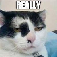 Whoops....just accidentally invited someone