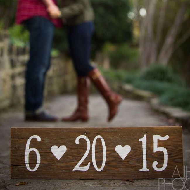 diy Engagement Photos 1