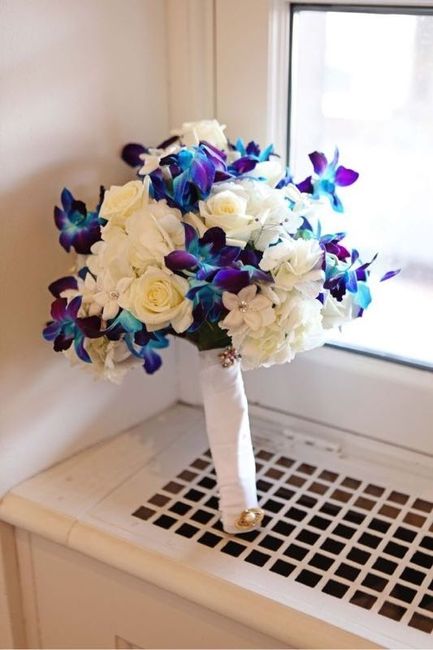 Stephanotis help!
