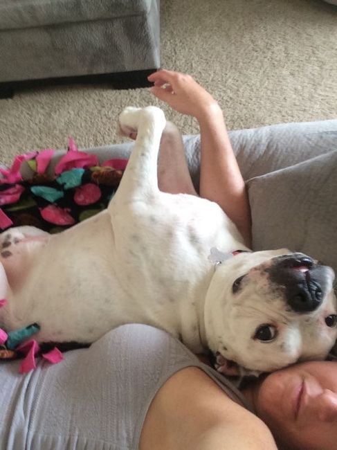 NWR: Bored? Show off your pets!