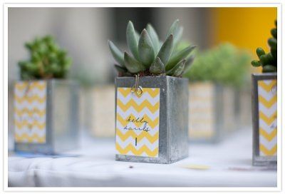 succulent escord cards-advice please!