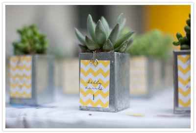 succulent escord cards-advice please!