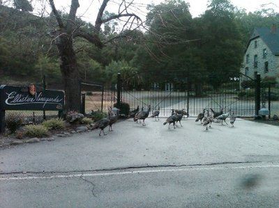 NWR - just something funny I saw this morning