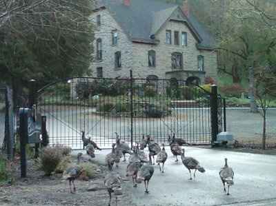 NWR - just something funny I saw this morning
