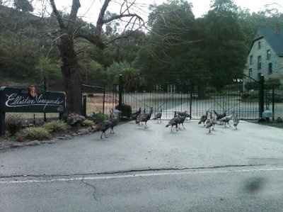 NWR - just something funny I saw this morning