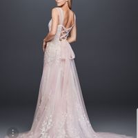Show me your David's Bridal Dresses - 2