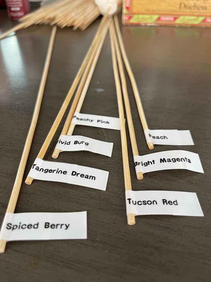 Sola Wood Color Test - 1