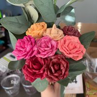 Sola Wood Color Test - 2