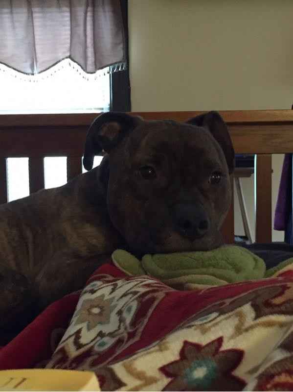 NWR: you and furbaby pic!