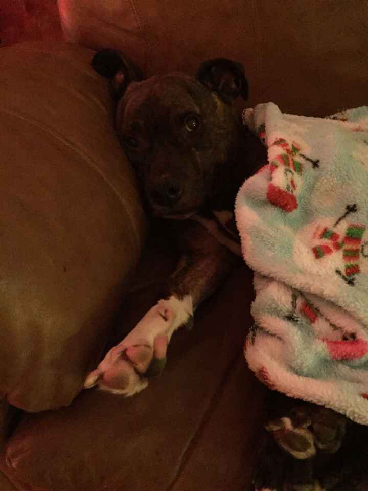 NWR: Puppy Friday!!