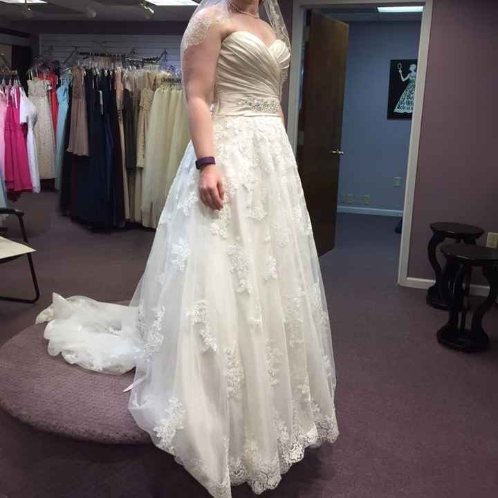 I picked up my dress