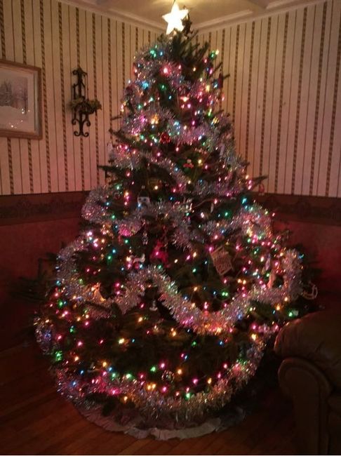 NWR-show me your Xmas trees