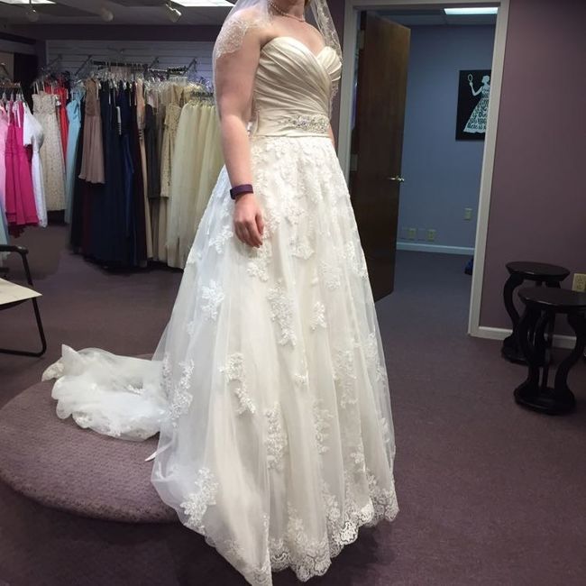 I picked up my dress